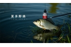 夏季野釣鯽魚有啥秘訣？答案驚人！