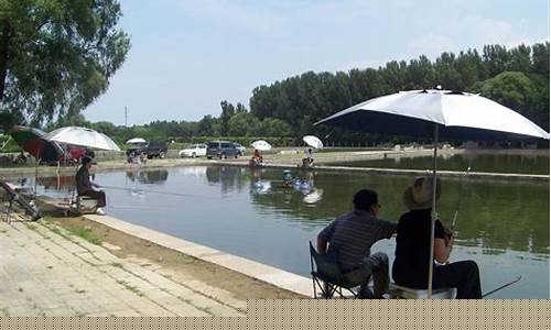 黑坑正釣和偷驢的區(qū)別圖片大全視頻