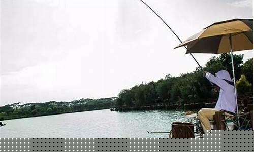 黑坑釣鯽魚偷驢技巧和方法視頻教程