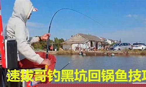 釣黑坑偷驢技巧視頻全部教程(釣黑坑偷驢技巧視頻全部教程大全)